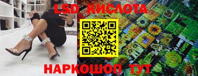 гашик Кандалакша