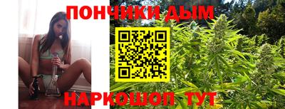 гидропоника Камышлов