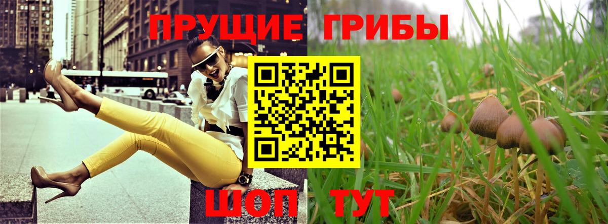 Псилоцибиновые грибы Magic Shrooms  Вход с VPN  наркота  Красноуфимск 